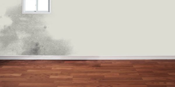 Revive and Renew: Essential Steps in Water Damage Restoration