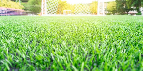 Enhance Your Property's Beauty and Safety with Synthetic Turf