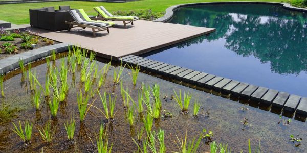 Benefits of Eco-Friendly Pool Systems: Sustainability at Its Best